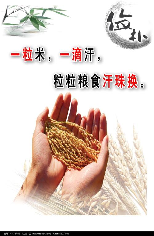 办理假新不伦瑞克省结婚证
